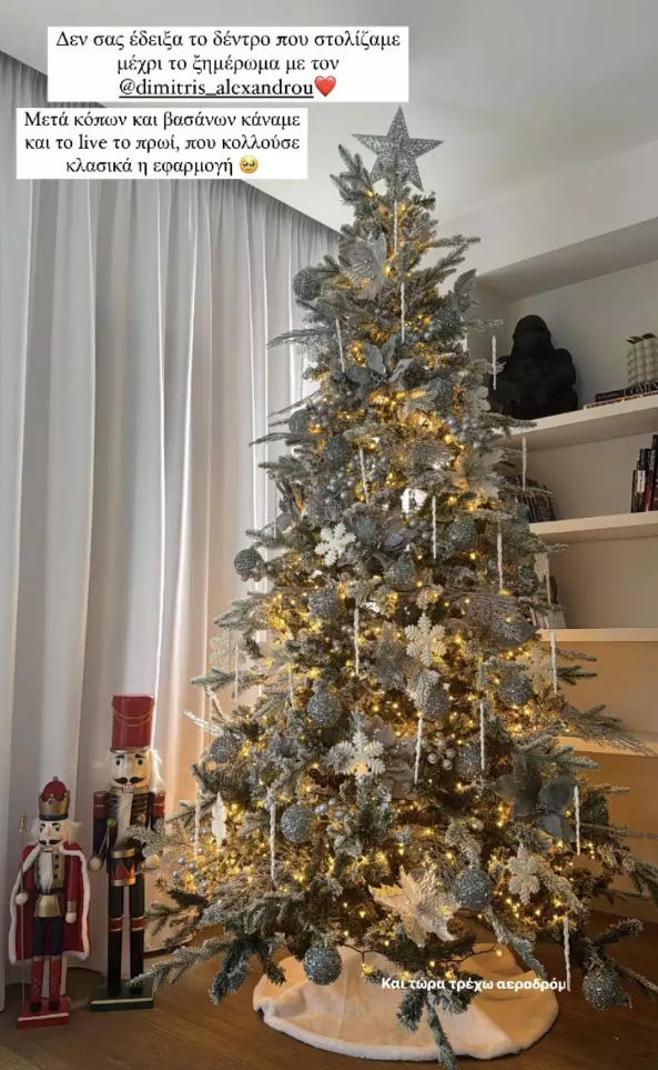 Ιωάννα Τούνη – Δημήτρης Αλεξάνδρου: Το εντυπωσιακό χριστουγεννιάτικο δέντρο