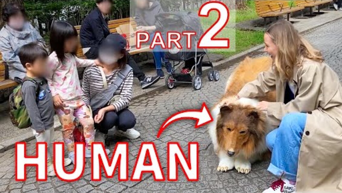 People's reactions to seeing a realistic dog costume!