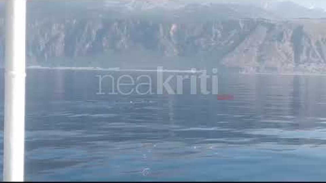 Φάλαινα φυσητήρας στα νότια της Κρήτης (2)