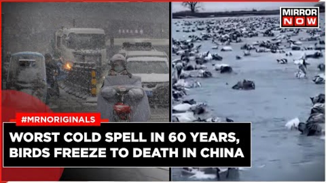 China Snowstorm | China's Xinjiang Battles Deep Freeze, Coldest Weather In 60 Years | World News