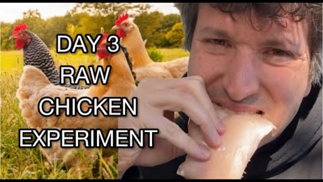 Day 3: Raw Chicken Experiment