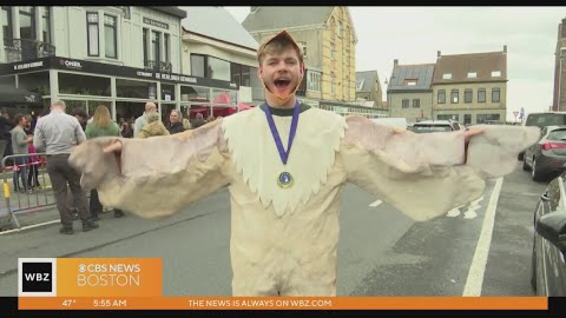 Town in Belgium holds contest for best seagull imitation