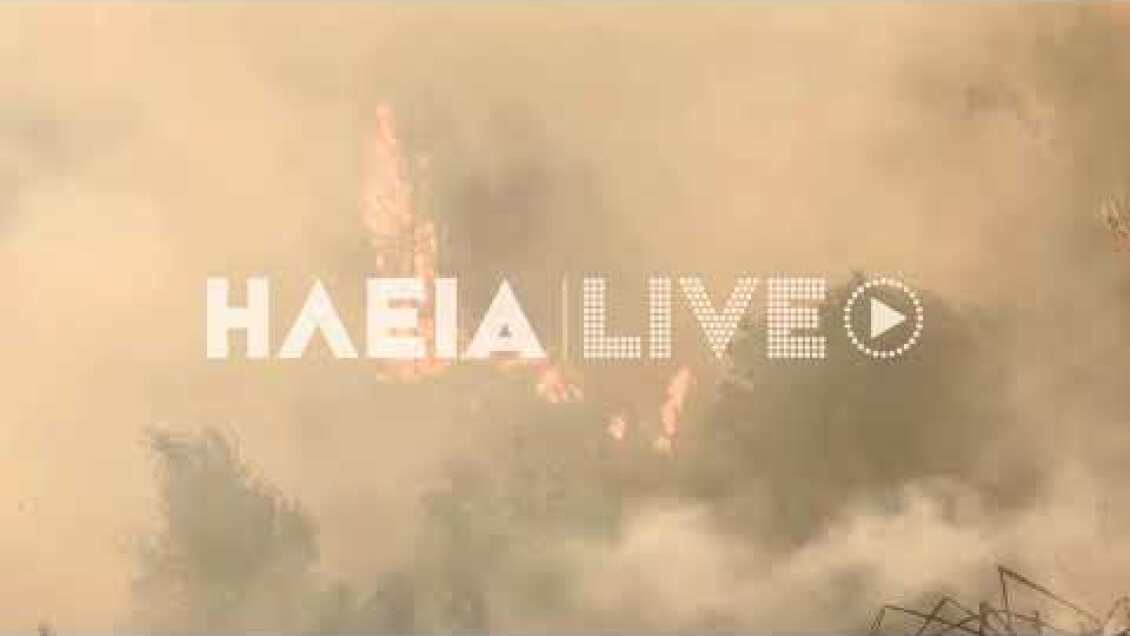 ilialive.gr - Μεγάλη πυρκαγιά στους Σχίνους Ζαχάρως