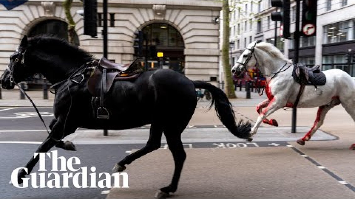 Multiple people injured as four horses escape into London causing chaos
