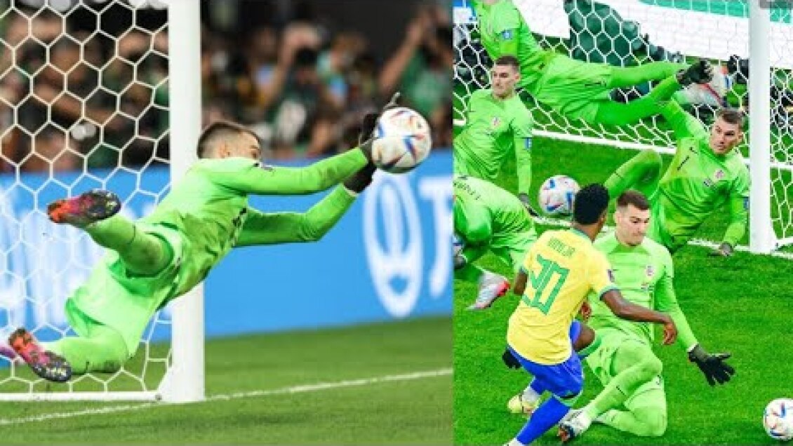DOMINIK LIVAKOVIC amazing performance vs Brazil