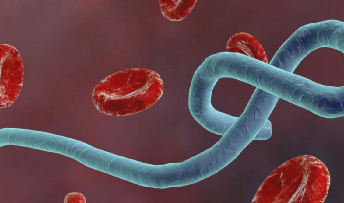 ebola_