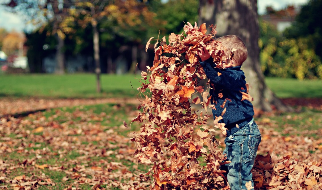 boy-throwing-up-autumn-leaves