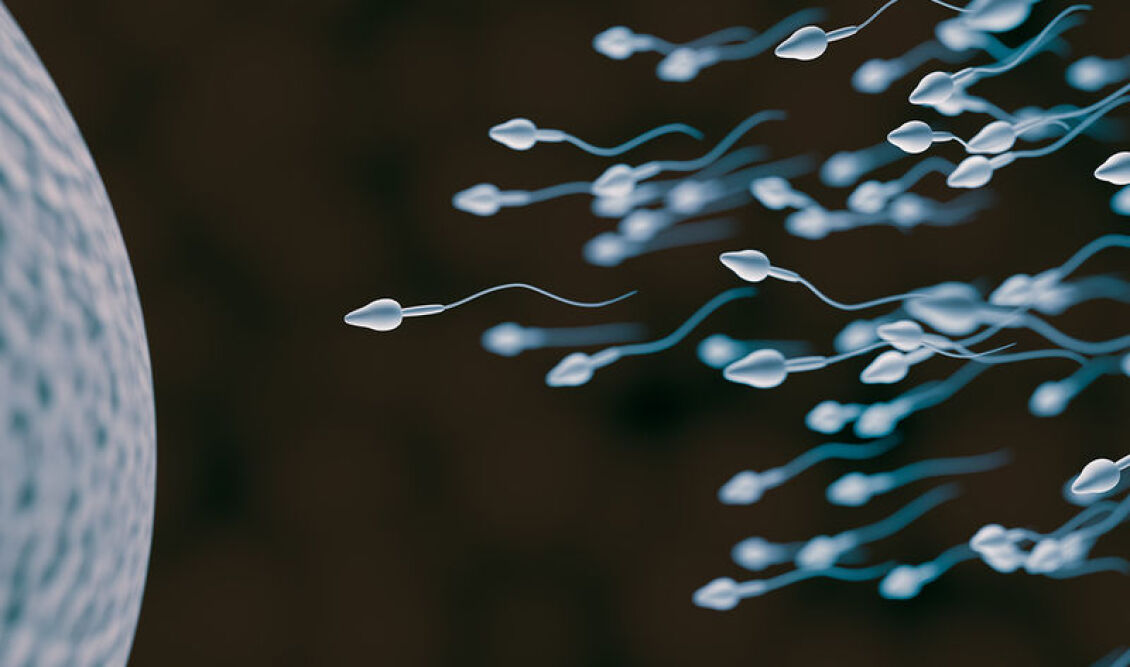 Sperm-And-Egg