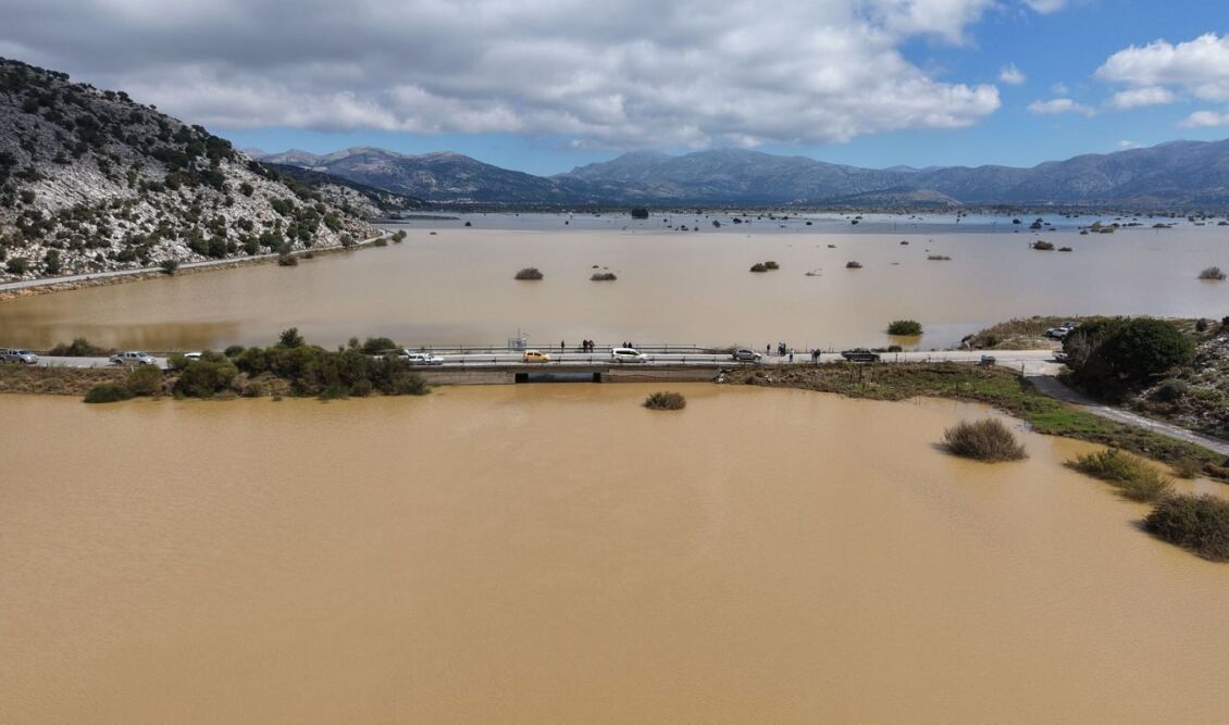 Κατσαφάδος για Κρήτη