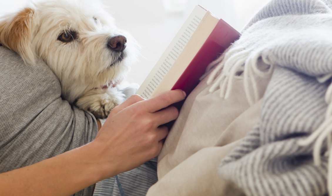 reading_with_dog