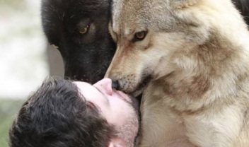 wolfs_1_3