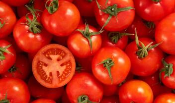 tomatoes-ntomates-syntirisi-cover