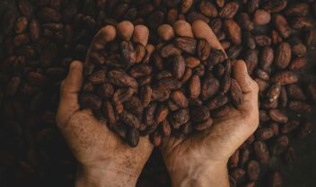 cocoa-beans-34345t