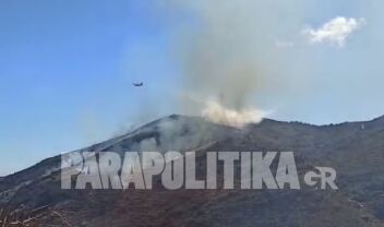 Φωτιά στην Τζια: Καίει σε δασική έκταση στο Σπαθί - Ζητήθηκαν ενισχύσεις από την Αττική