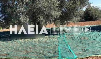 Άνδρας που είχε πάει για να μαζέψει ελιές εντοπίστηκε νεκρός σε ελαιώνα στην Ηλεία