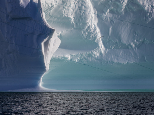 DIANE_TUFT_Amidst_the_Icebergs__Disko_Bay__Greenland__9_20_PM